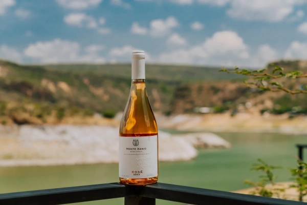 Botella de Vino Monte Xanic Rose