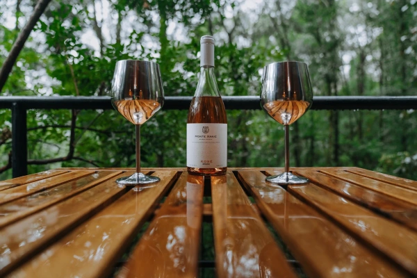 Botella de Vino Monte Xanic Rose